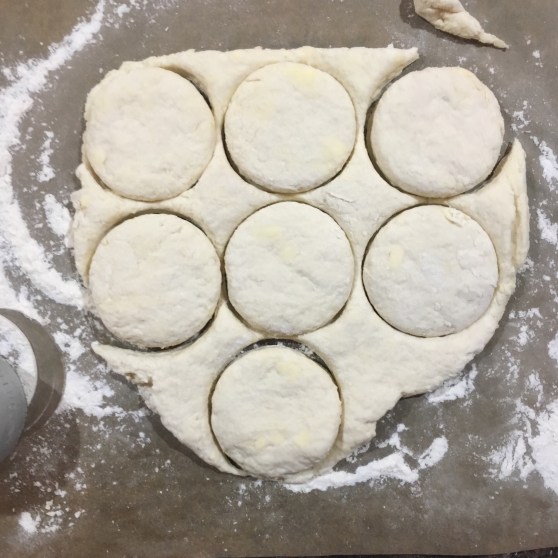 Biscuit dough, cut out